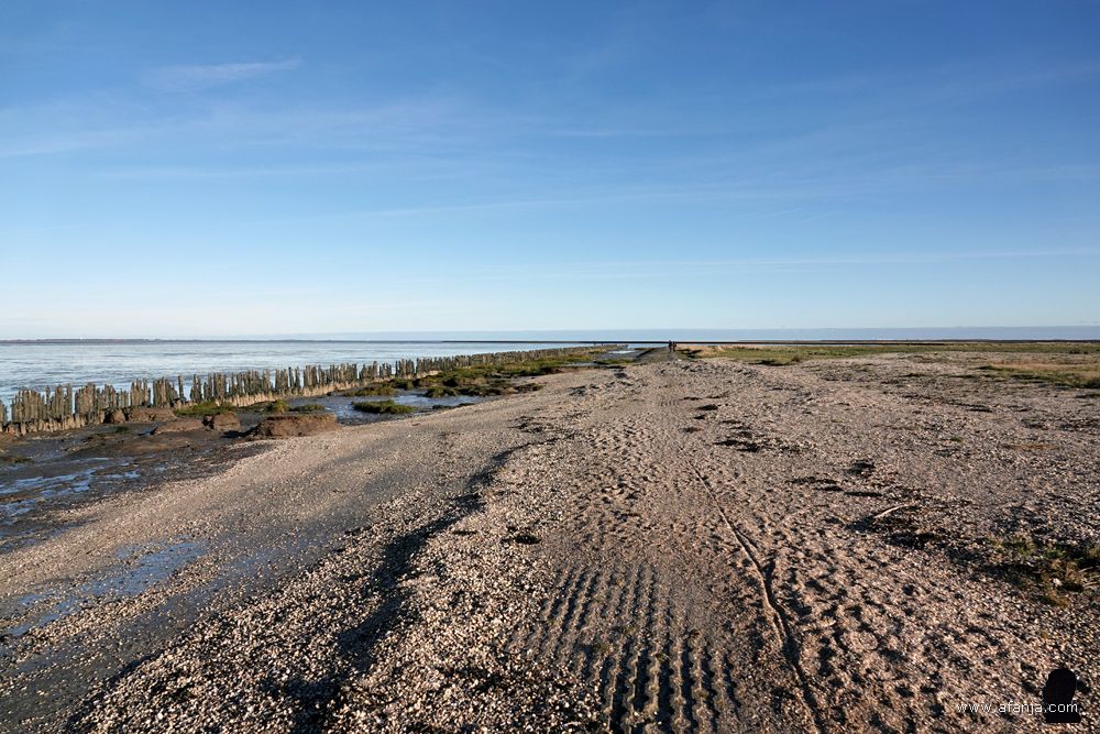 in de verte lopen een paar mensen