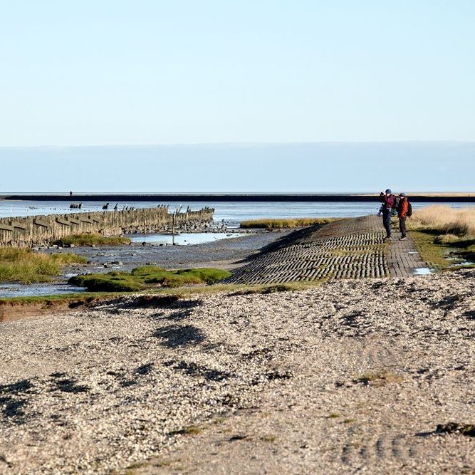 vogelaars aan het eind van het dammetje, in de verte zijn nog een paar wandelaars op de zwarte strekdam