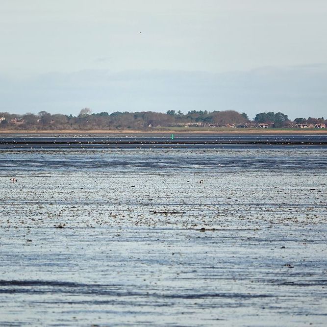 Schiermonnikoog aan de andere kant van het drooggevallen Wad