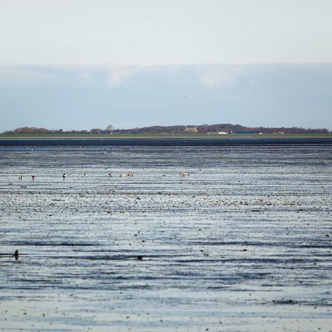 Schiermonnikoog aan de andere kant van het drooggevallen Wad