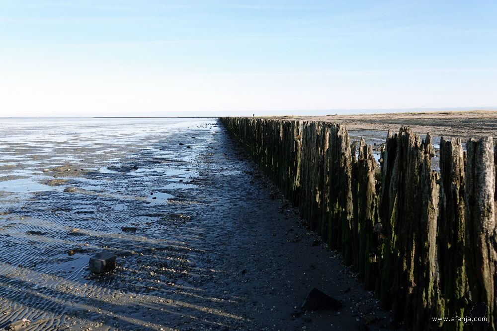 aan de zeezijde van de oude palenrij