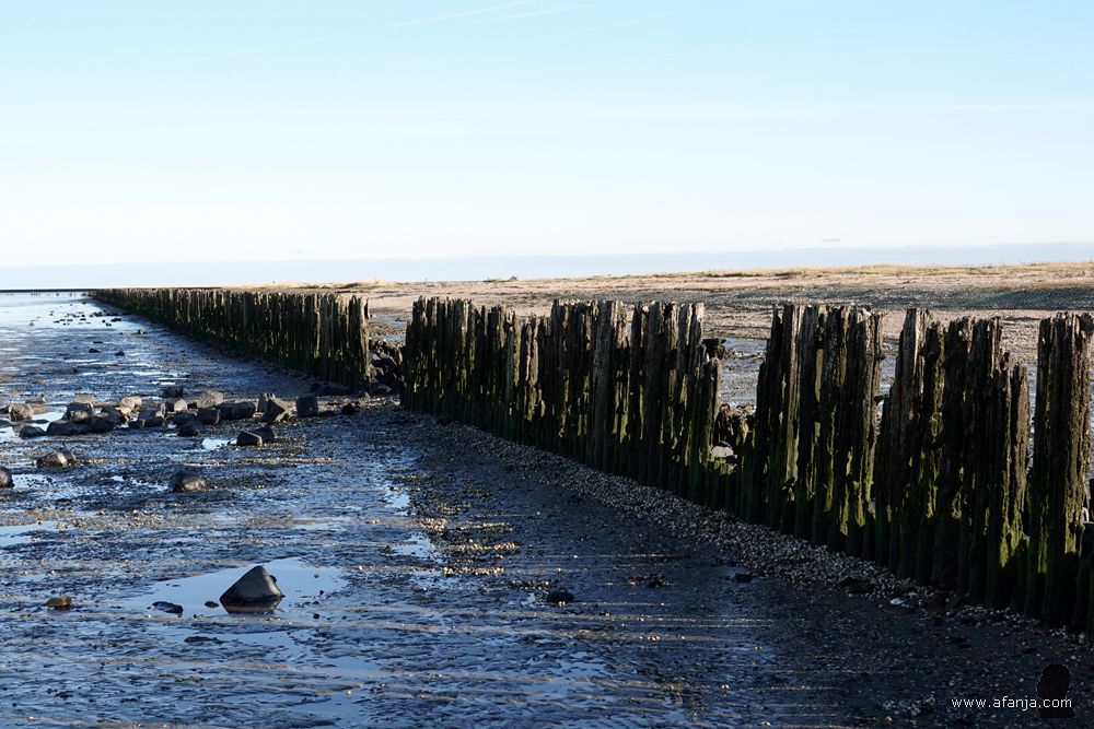 aan de zeezijde van de oude palenrij