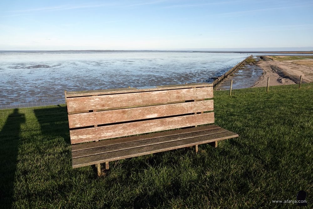 Bank fan Vlieger - 8 juny 2001