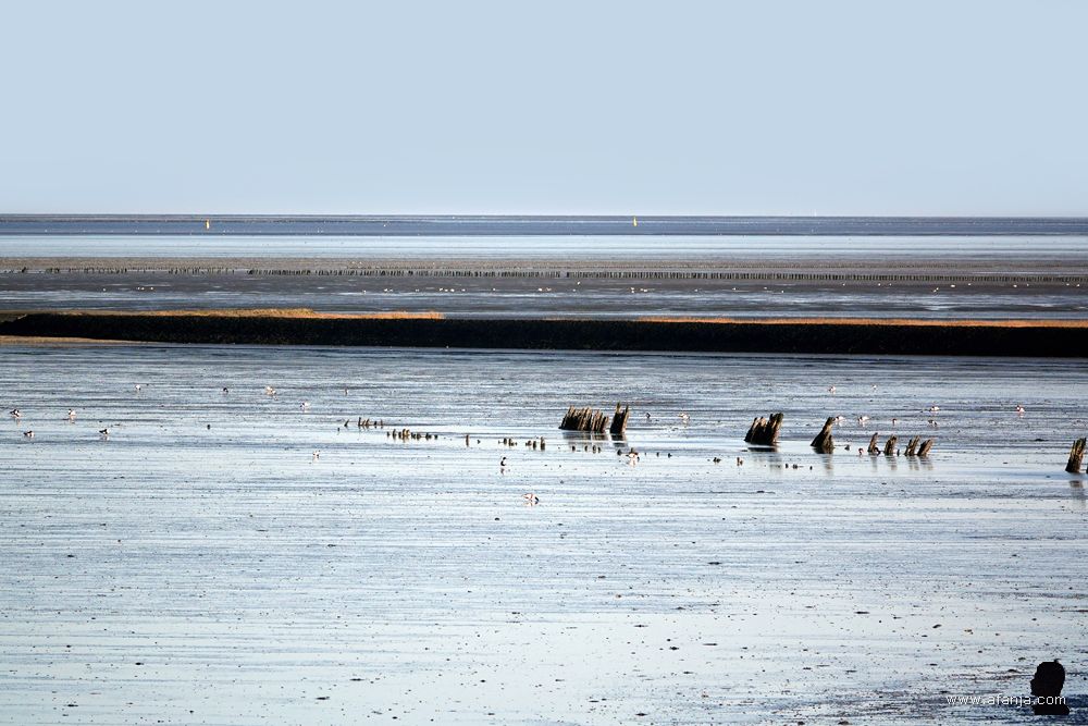 de laatste palen van de oude palenrij en daarachter een lange strekdam