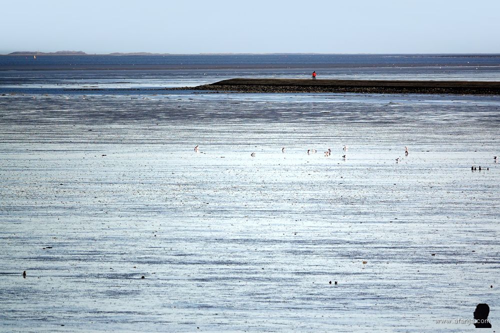 er staat een wandelaar in een rode jas aan het eind van de lange strekdam