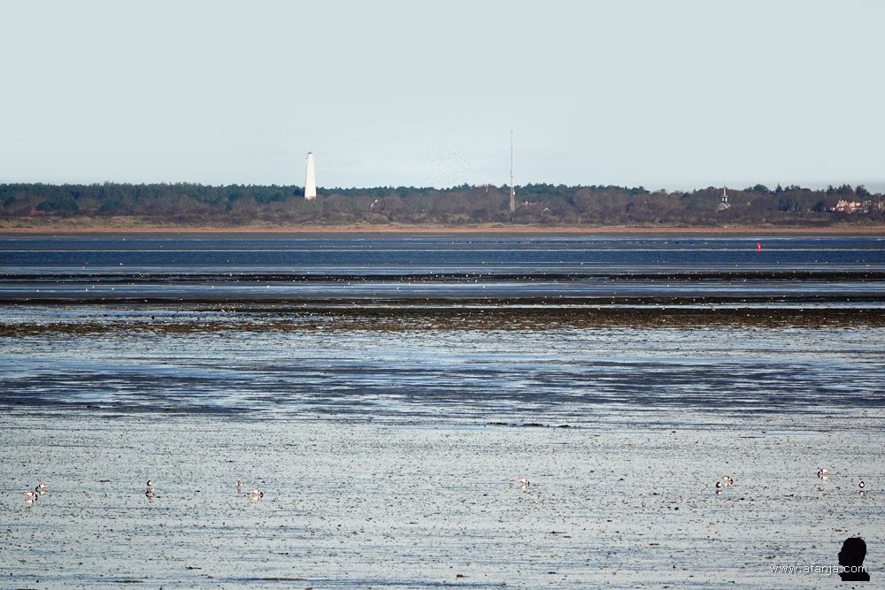 het Wad bij laag water, in de verte is de witte vuurtoren op Schiermonnikoog te zien