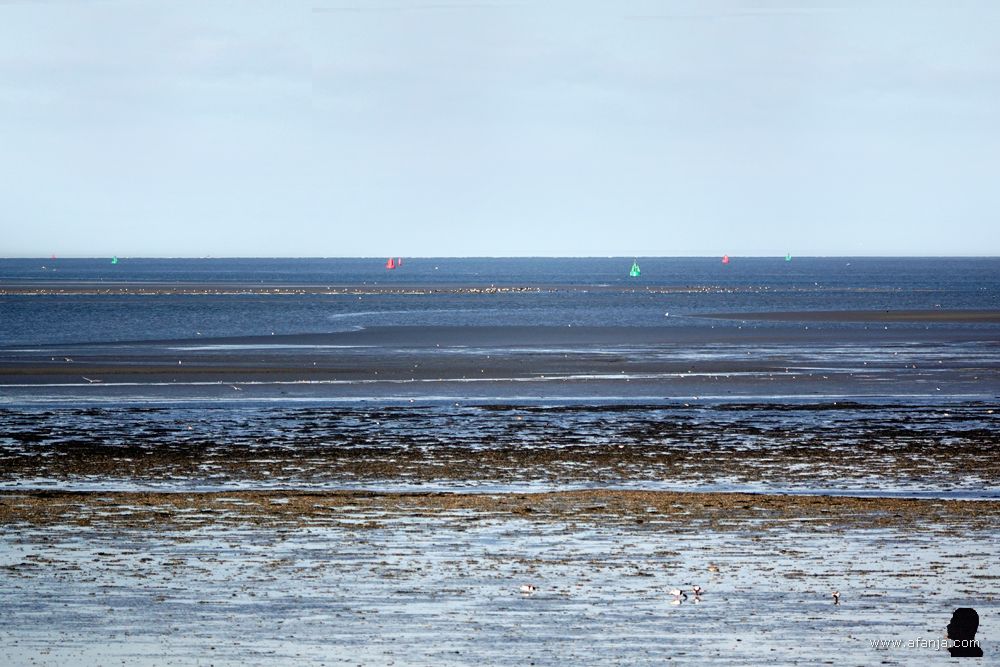 het Wad bij laag water, in de verte zijn rode en groene boeien te zien