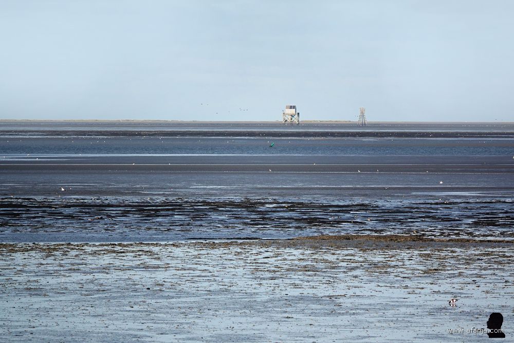 in de verte de Engelsmanplaat