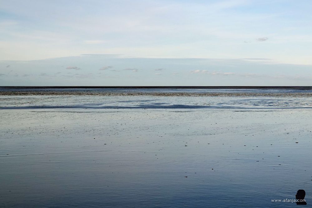 de Waddenzee bij Wierum