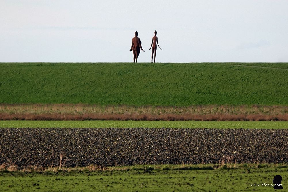 'Wachten op hoogwater' - beeld van 2 vrouwen, die op de ijk bij Holwerd staan