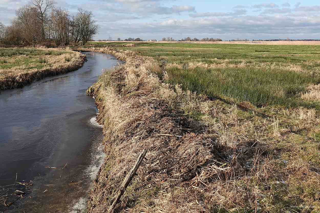 er ligt een laagje ijs op deze sloot op It Eilân - januari 2024