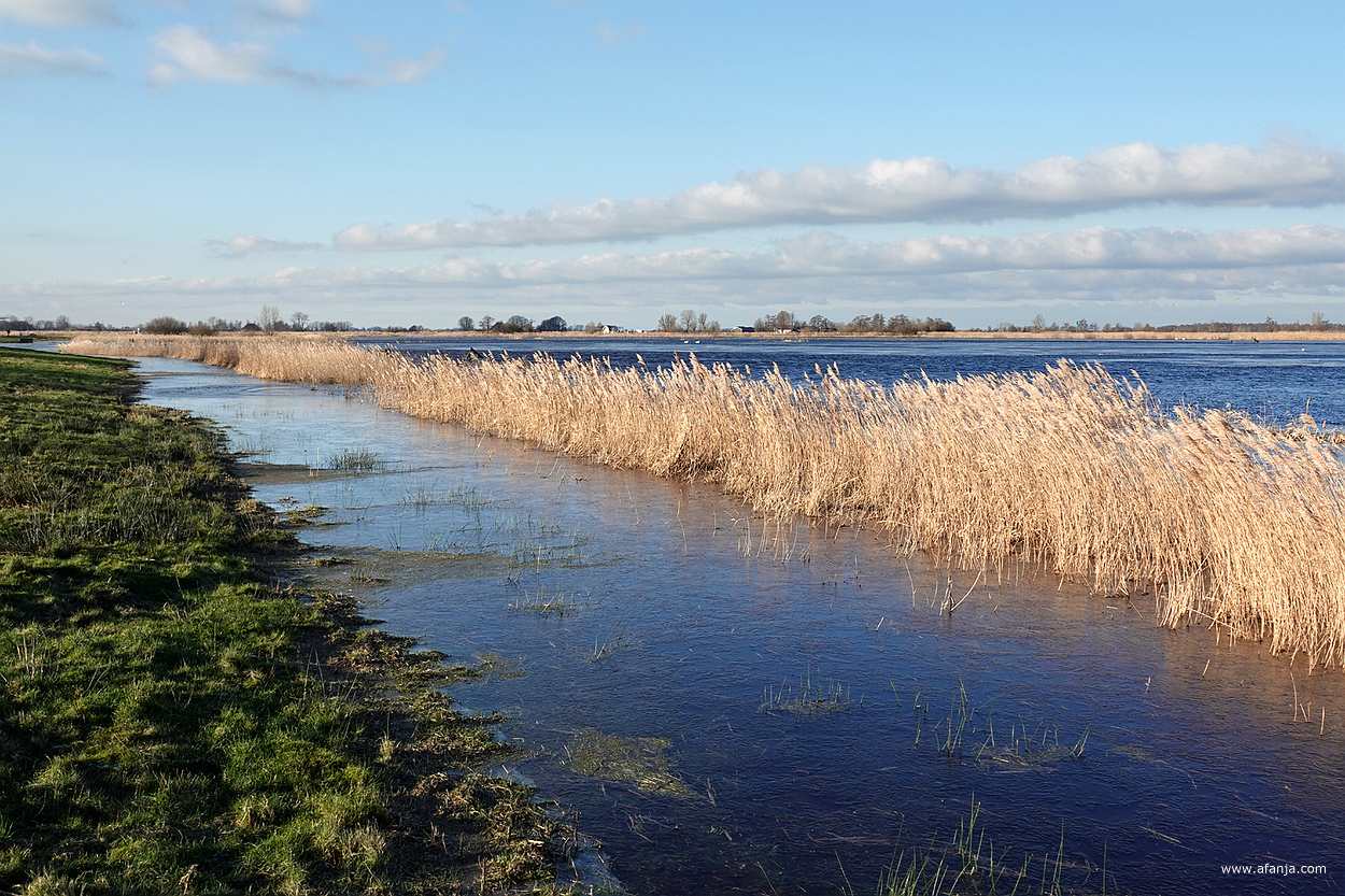 de retentiepolder It Eilân staat onder water - januari 2024
