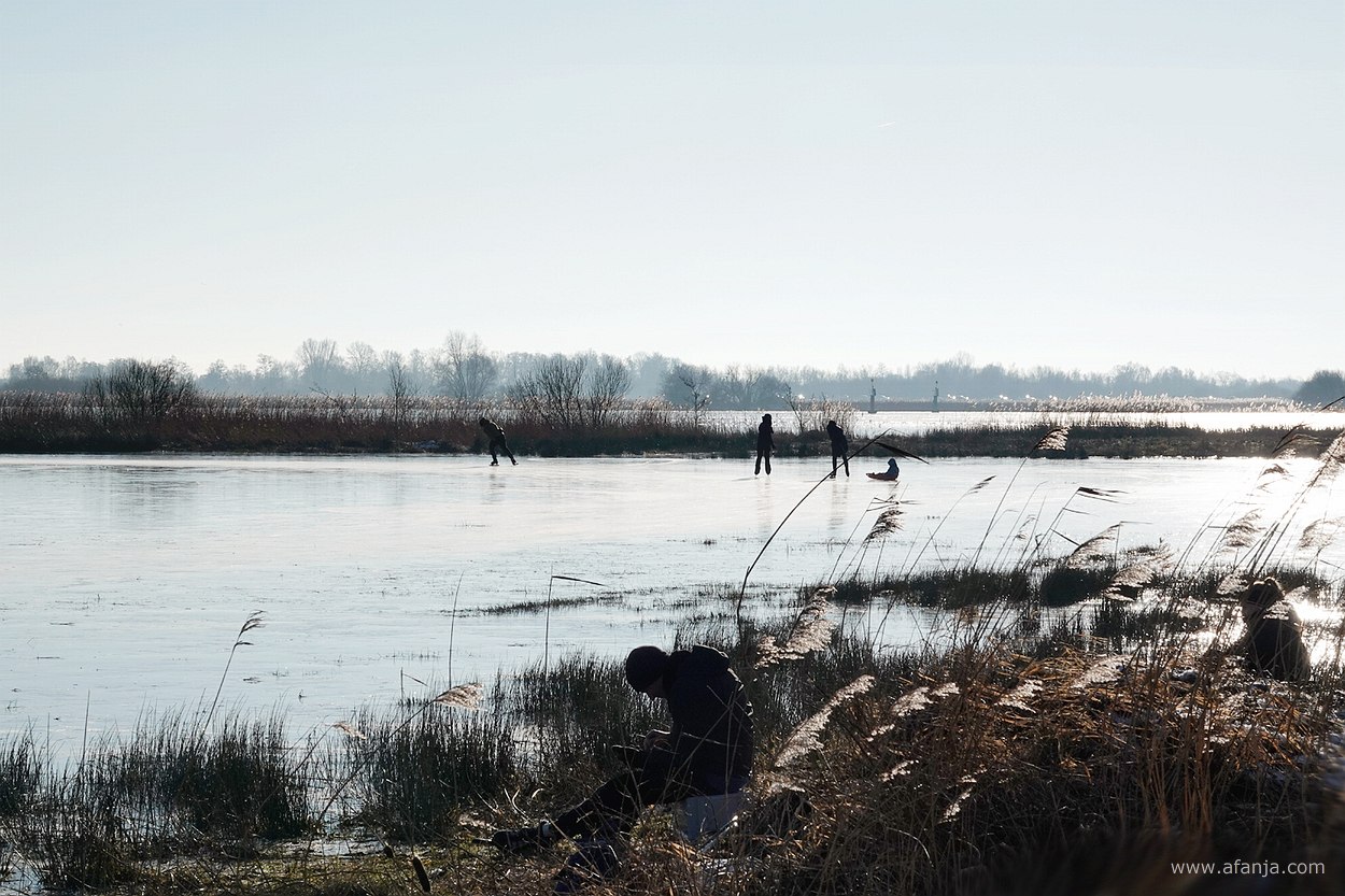 de eerste schaatsers van 2024 en een kind op een slee, op de voorgrond binden twee personen tussen het riet hun schaatsen onder