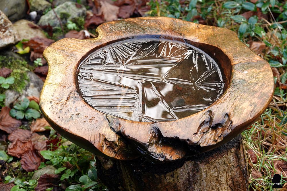 een dun vliesje ijs op het vogelbad