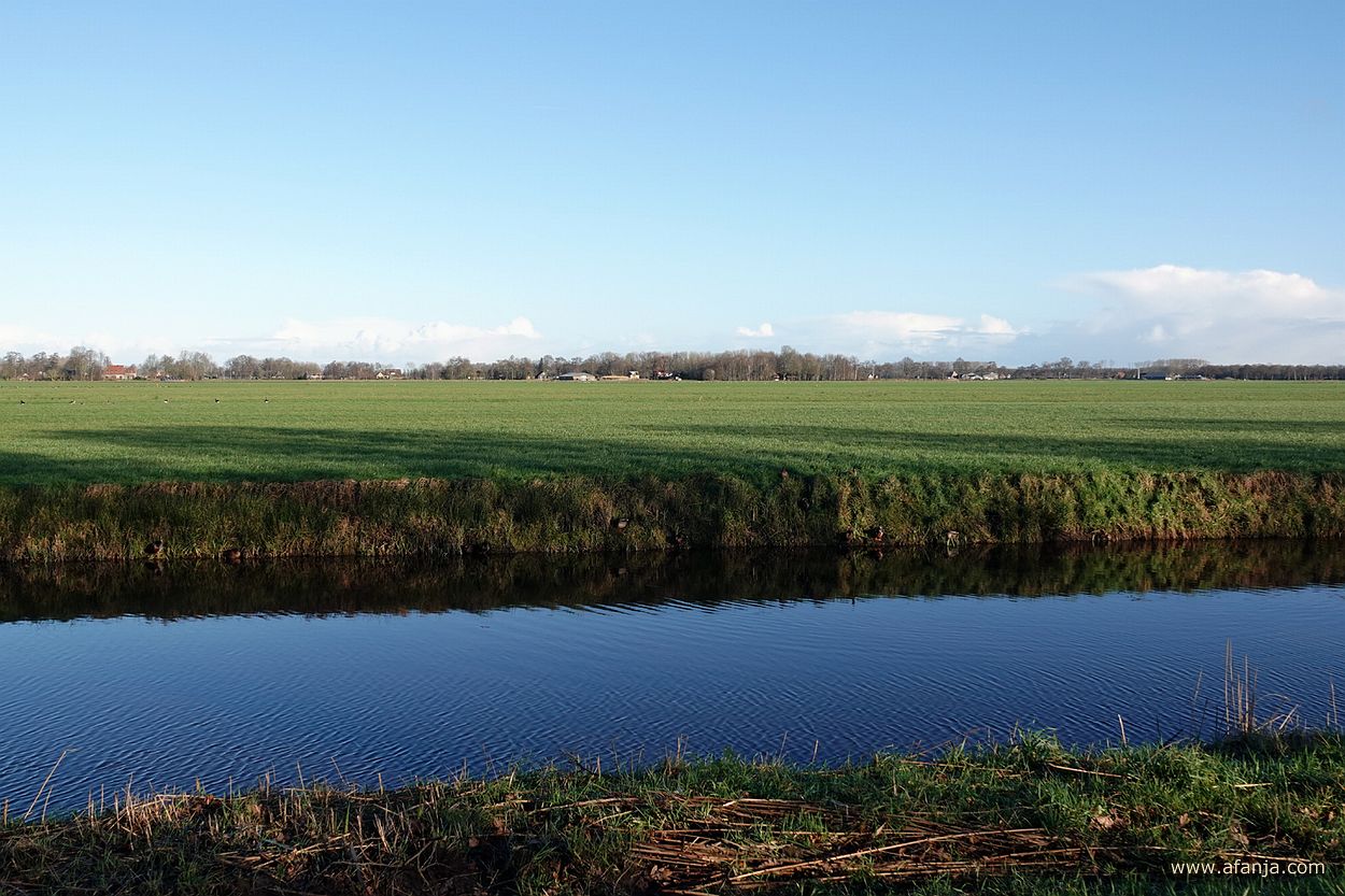 weidelandschap met op de voorgrond een vaart