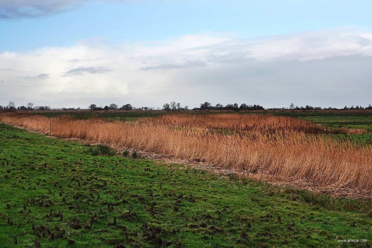 de retentiepolder It Eilân ligt er droog bij - januari 2025