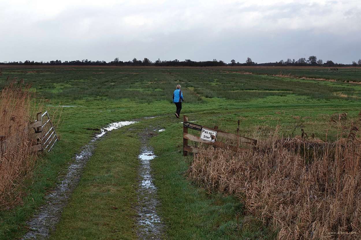 de retentiepolder It Eilân ligt er droog bij - januari 2025