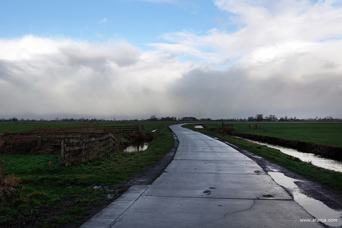een smalle weg slingert door het weidelandschap van Fryslân