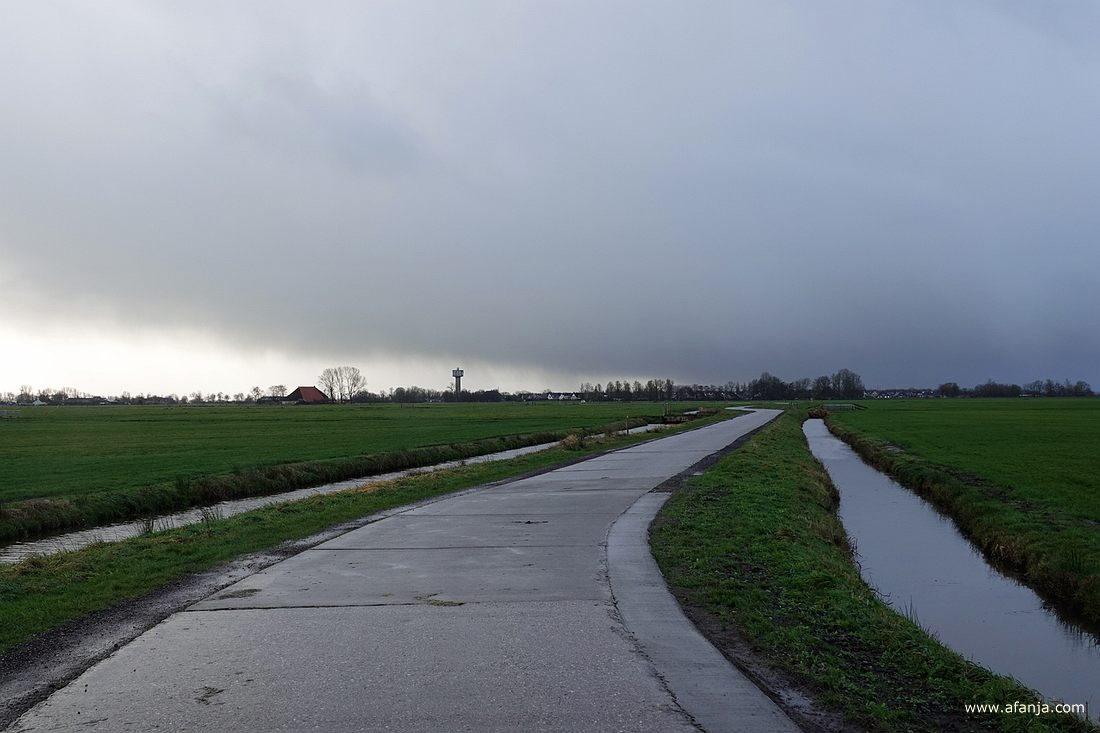 een smalle weg slingert door het weidelandschap van Fryslân - in de verte het Watertorenhotel bij Nes