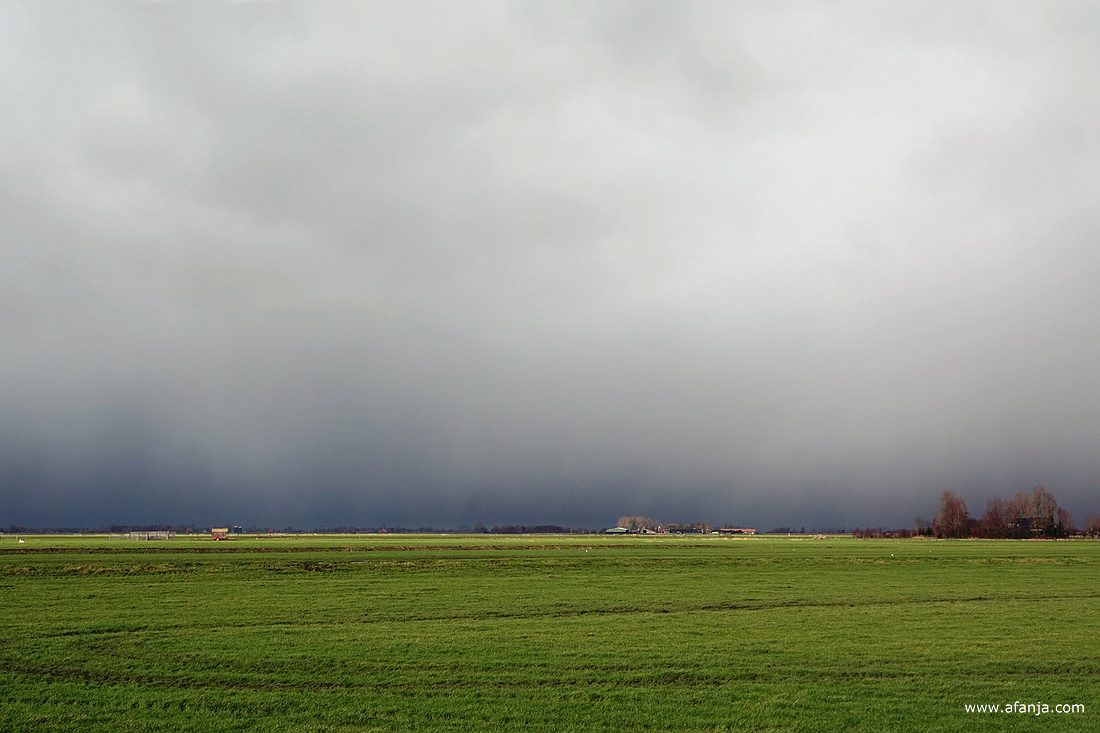 een buienlucht boven het Friese weidegbied