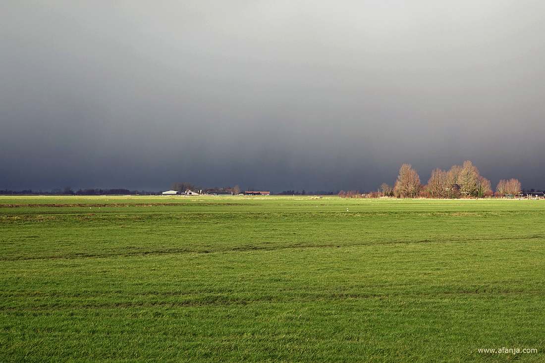 een buienlucht boven het Friese weidegbied