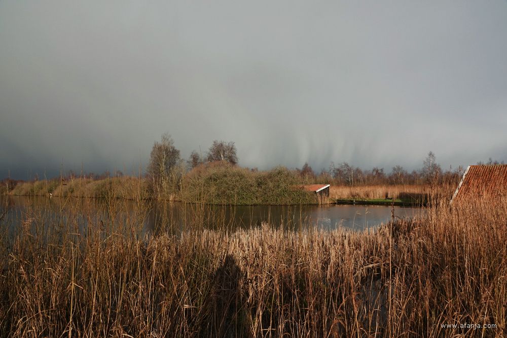 er nadert een bui met hagel en natte sneeuw bij De Deelen