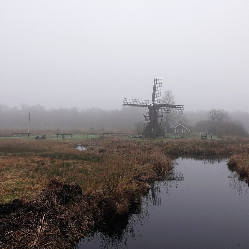 pinnenkopmolen 'de Wicher' in De Weerribben met rechts daarachter het molenaarshuisje in de mist