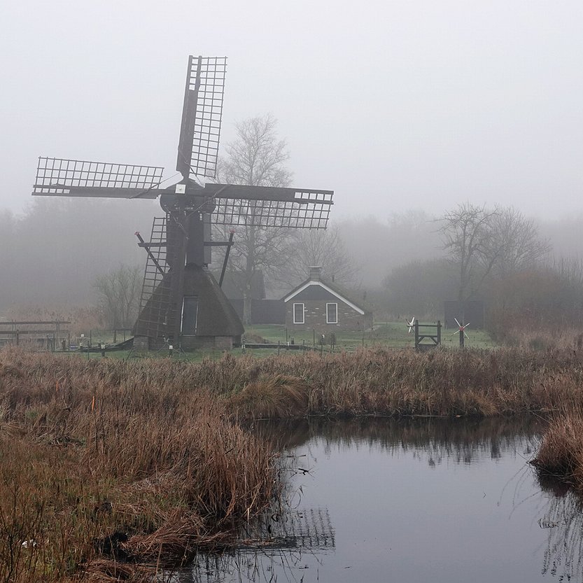 pinnenkopmolen 'de Wicher' in De Weerribben met rechts daarachter het molenaarshuisje in de mist