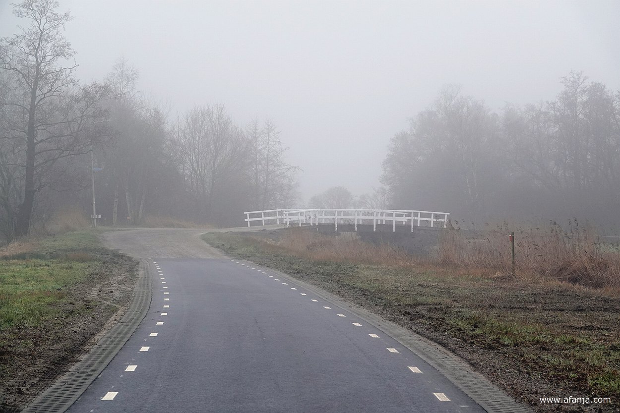 mist in De Weerribben, verderop maakt de weg een bocht naar rechts over een wit bruggetje