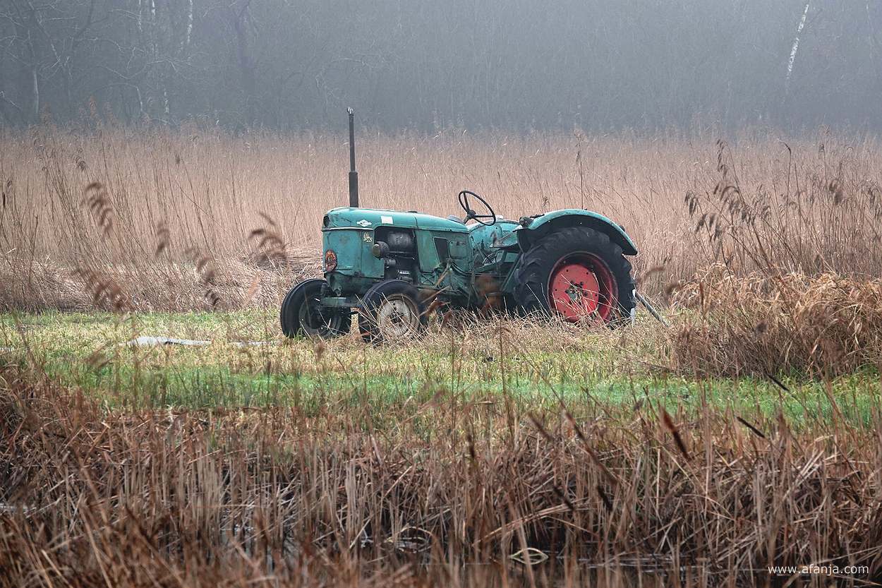 een oude trekker wordt gebruikt voor de bemaling van het rietland