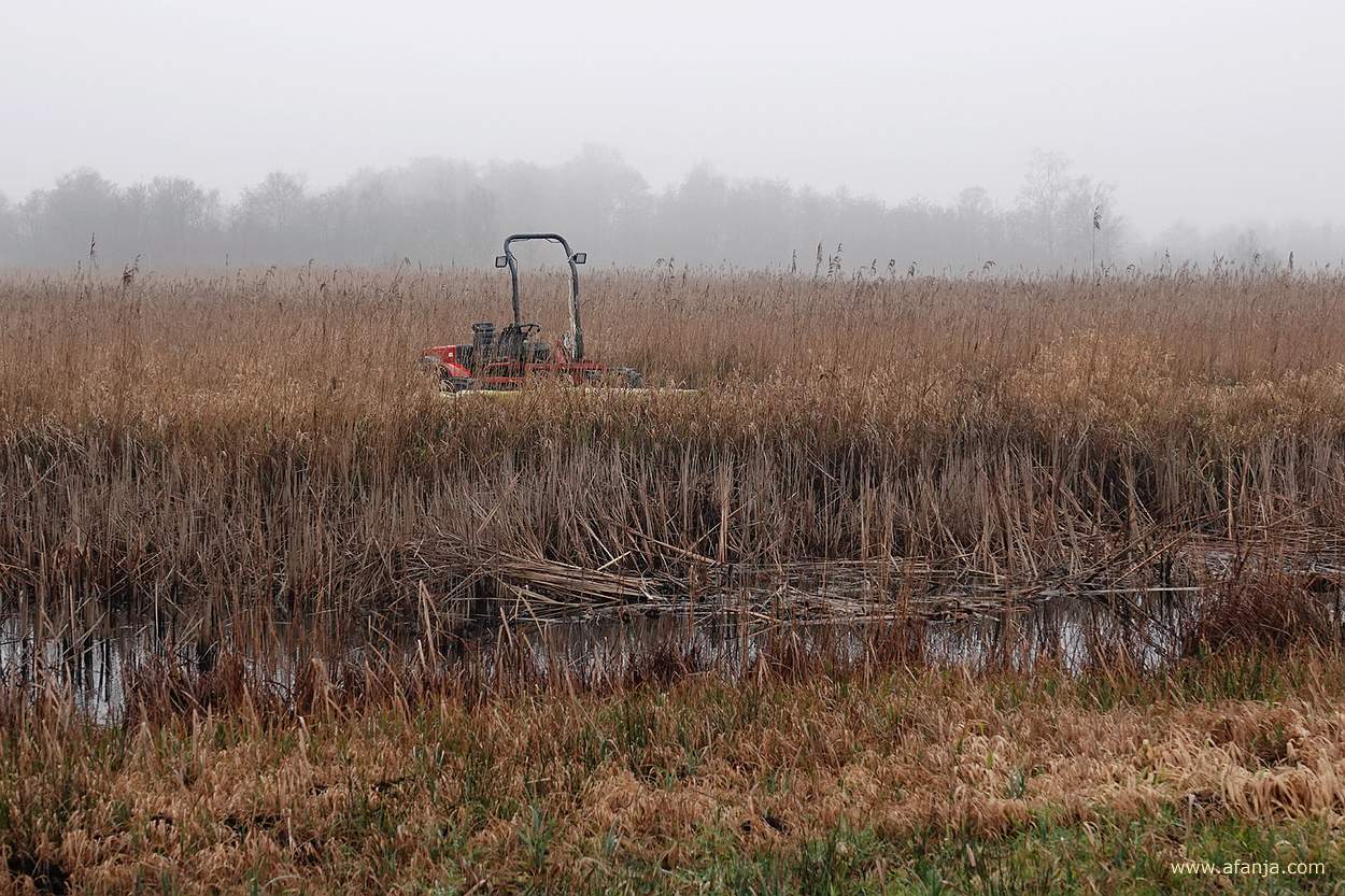 een rietmaaier staat werkloos is het rietland