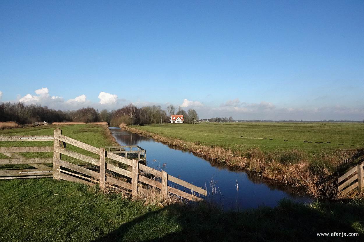 aan de rand van de Jan Durkspolder bij Earnewâld