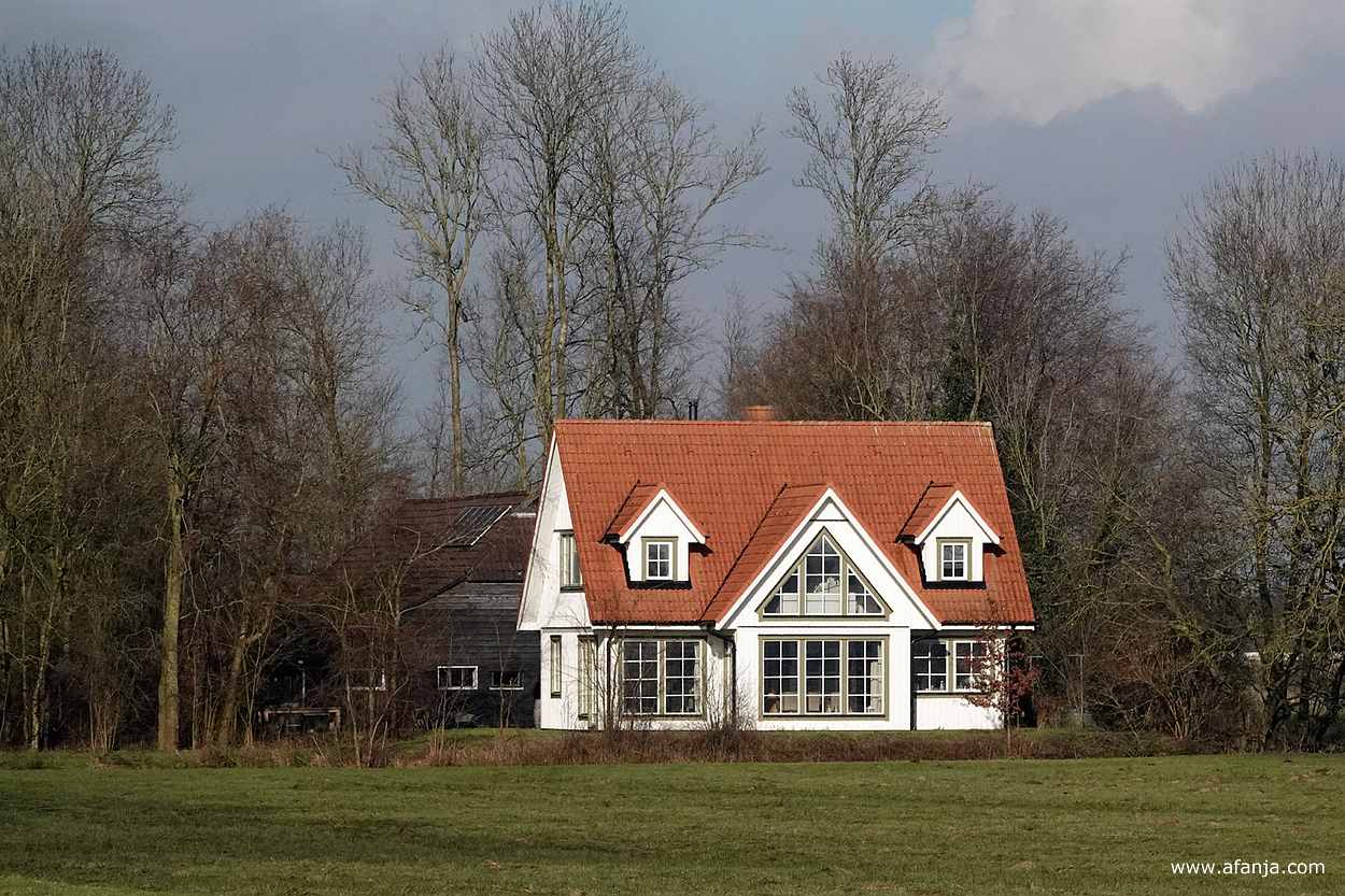 huis aan de rand - januari 2025