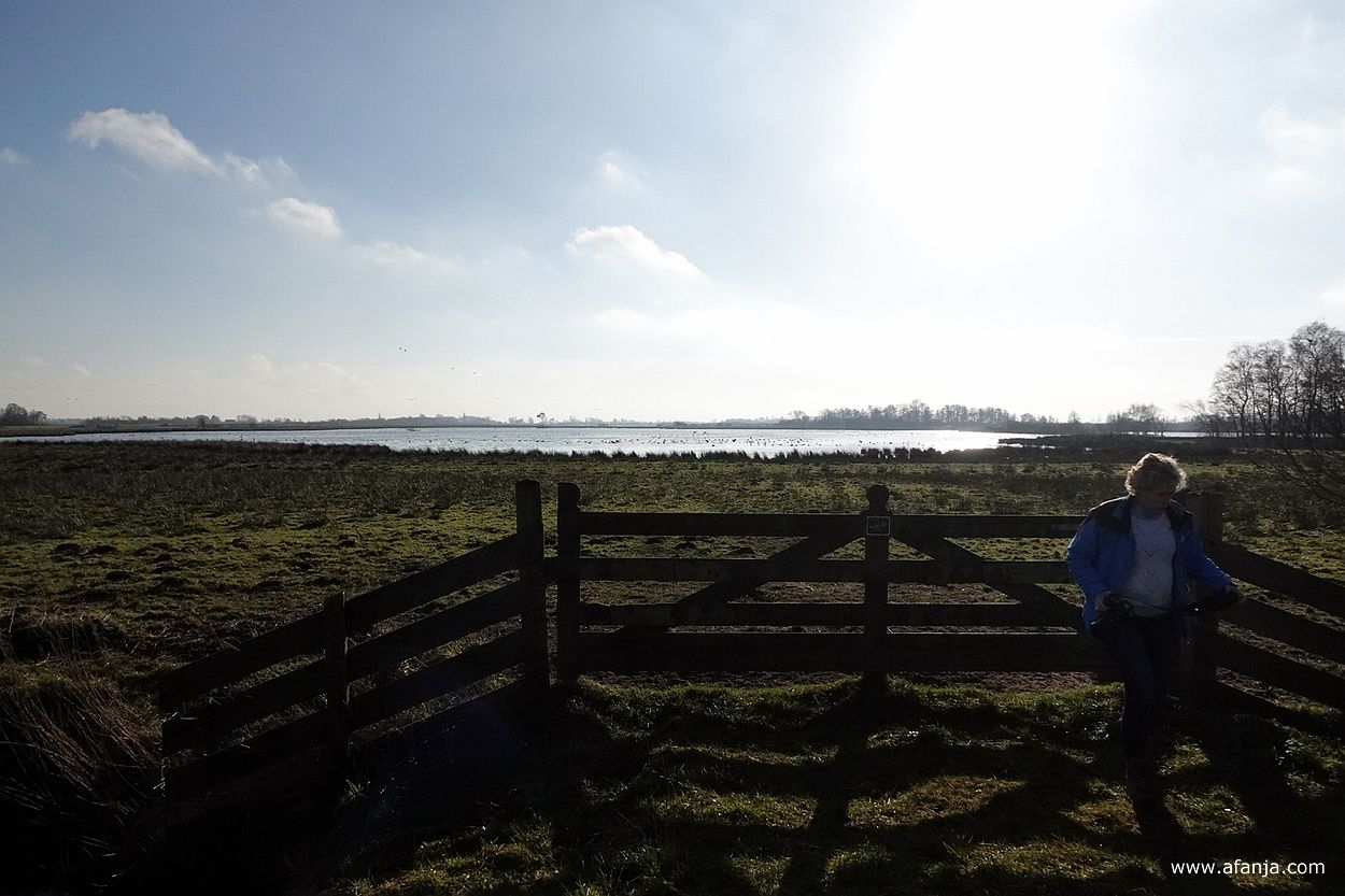 Van achter een hek hebben we zicht over de Jan Durkspolder. Jetske loopt rechts uit beeld om haar andere camera te halen.