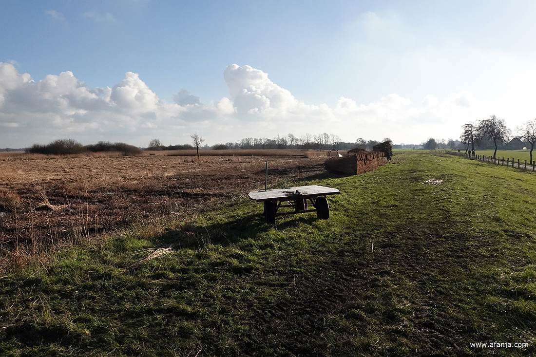 gemaaid rietland bij De Leijen