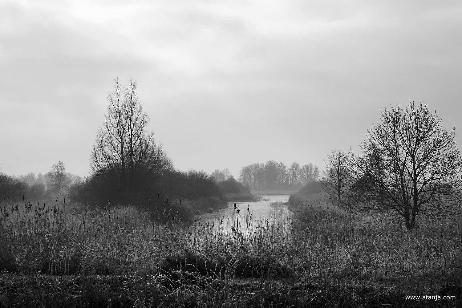 rustig begrijpt riet