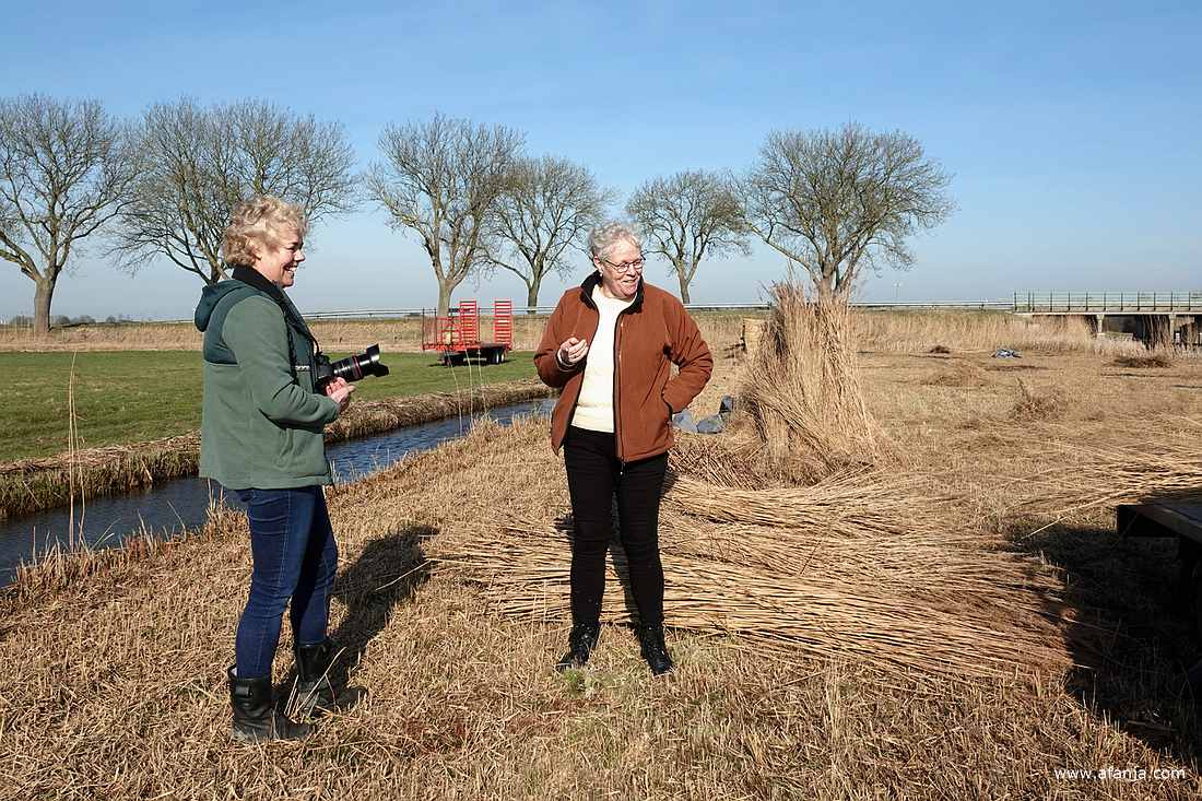 Jetske en haar zuster in het rietland