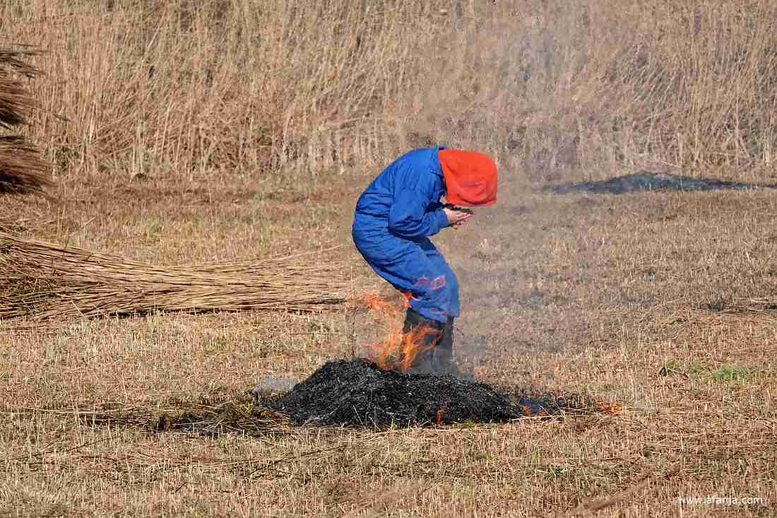 ook rietsnijders in de dop zijn kinderen met kwajongensstreken