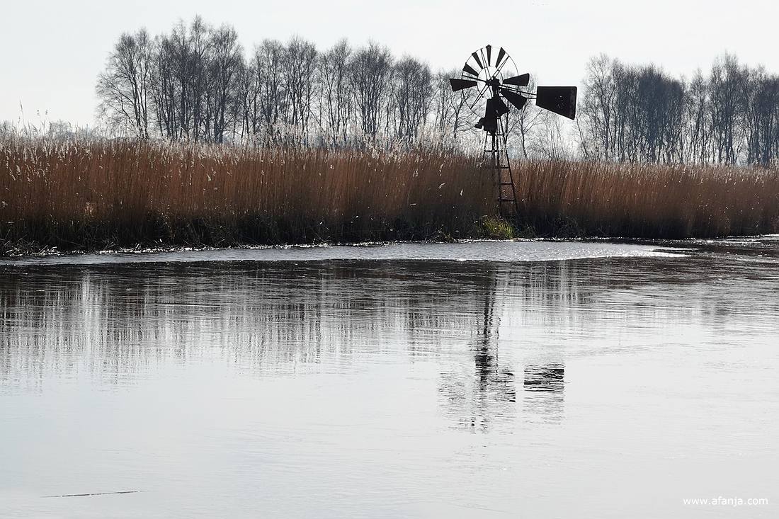er ligt een laagje ijs op de sloot
