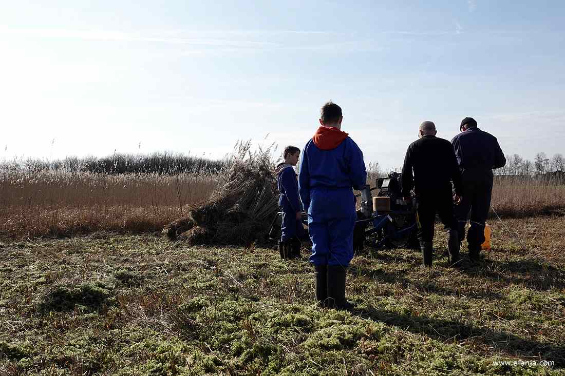 werkoverleg in het rietland