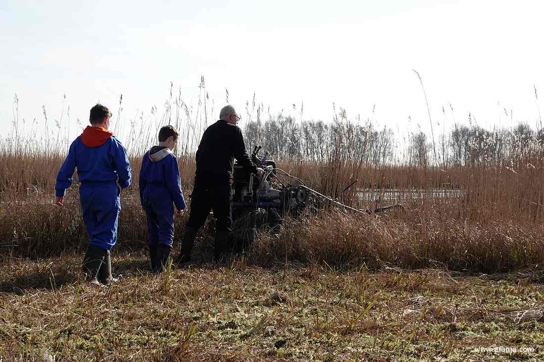een rietsnijder loopt, gevolgd door een paar jongens, achter de rietmaaier het riet in