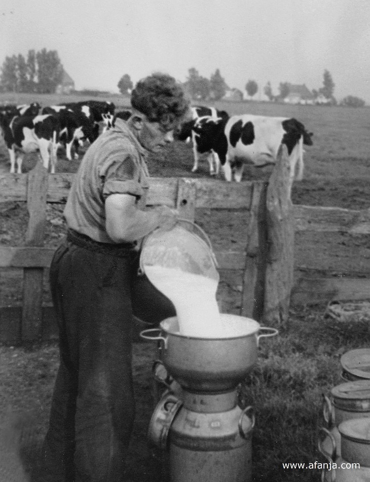 heit giet de melk in een melkbus