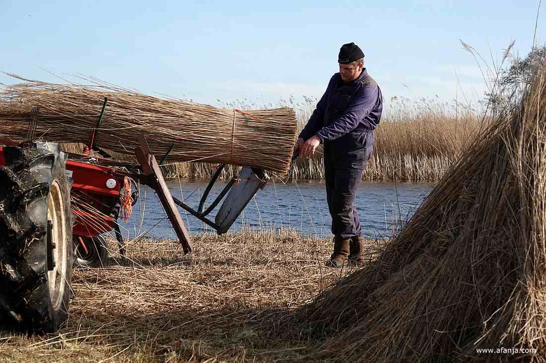 bijna klaar, maar er steken nog twee sprieten uit