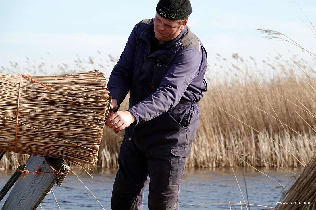 even beetpakken om de sprieten met het snit af te kunnen snijden