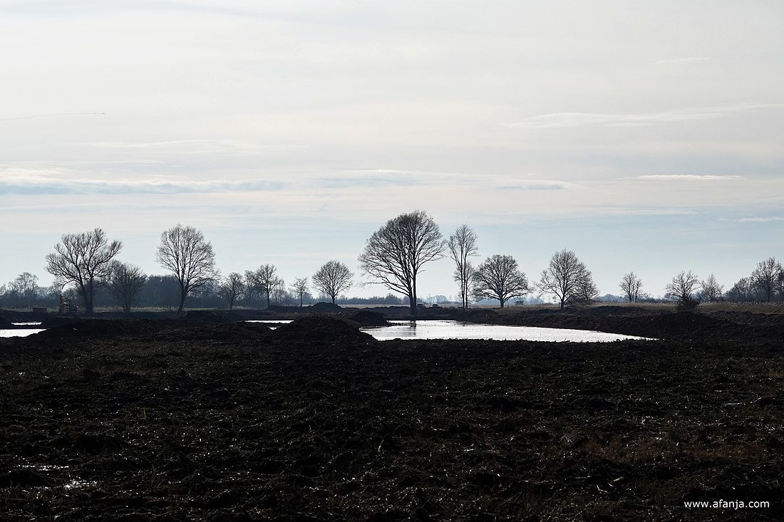 in de Weerribben worden oude petgaten in ere hersteld