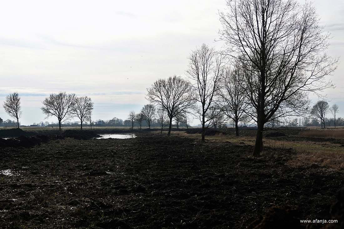 in de Weerribben worden oude petgaten in ere hersteld