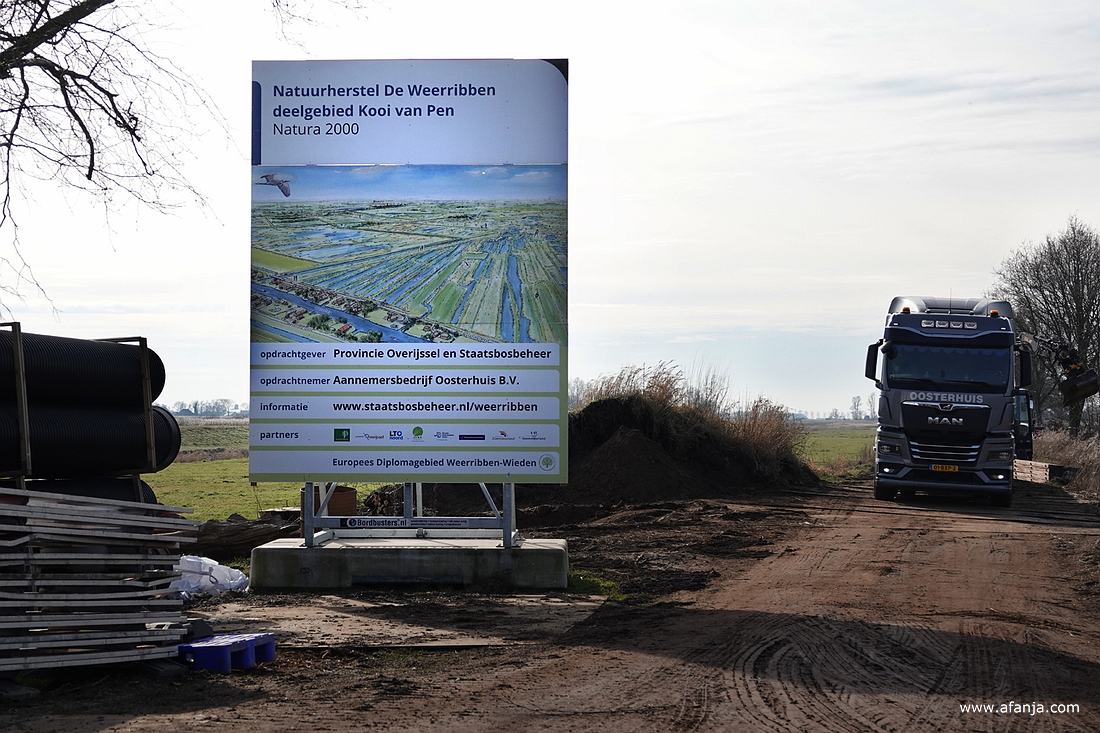 natuurherstel in de Weerribben