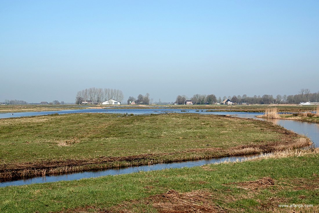 plasdras bij de Surhuizumermieden