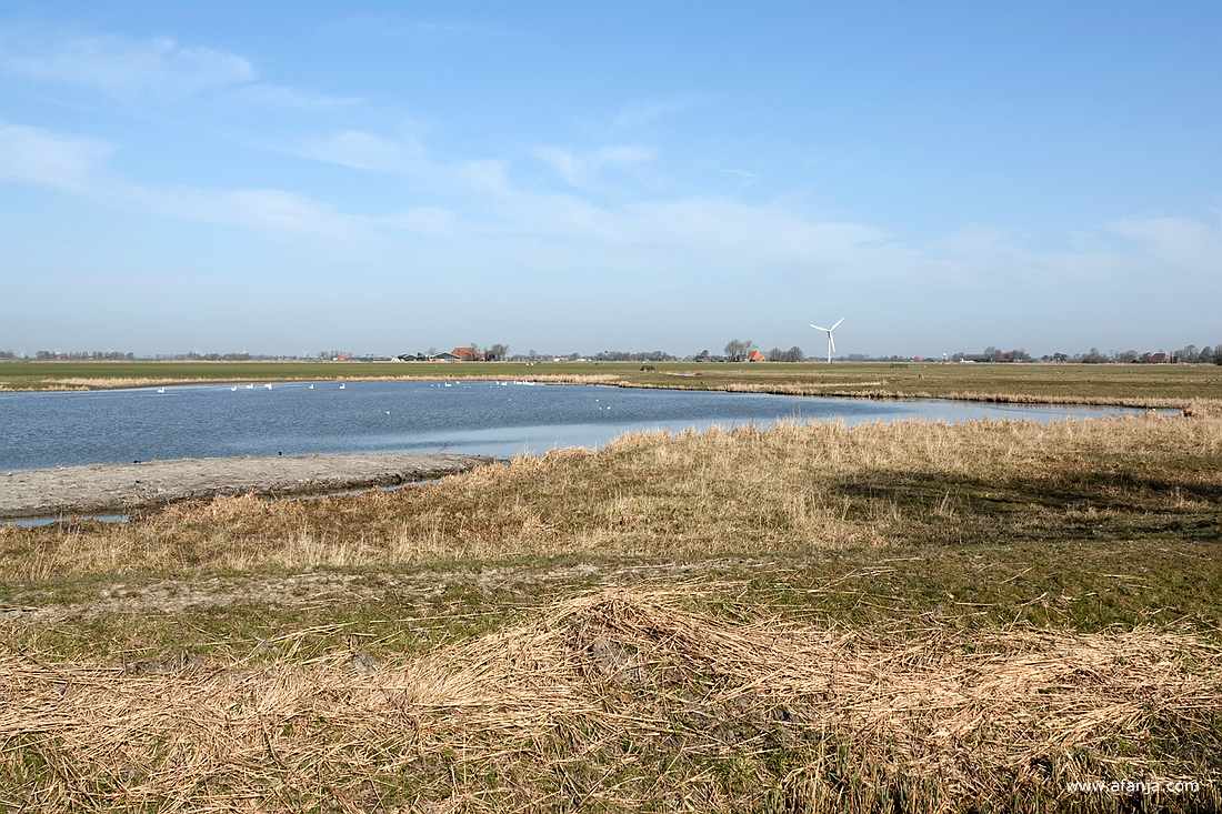 uitzicht over het open weidelandschap ten noorden van de hut