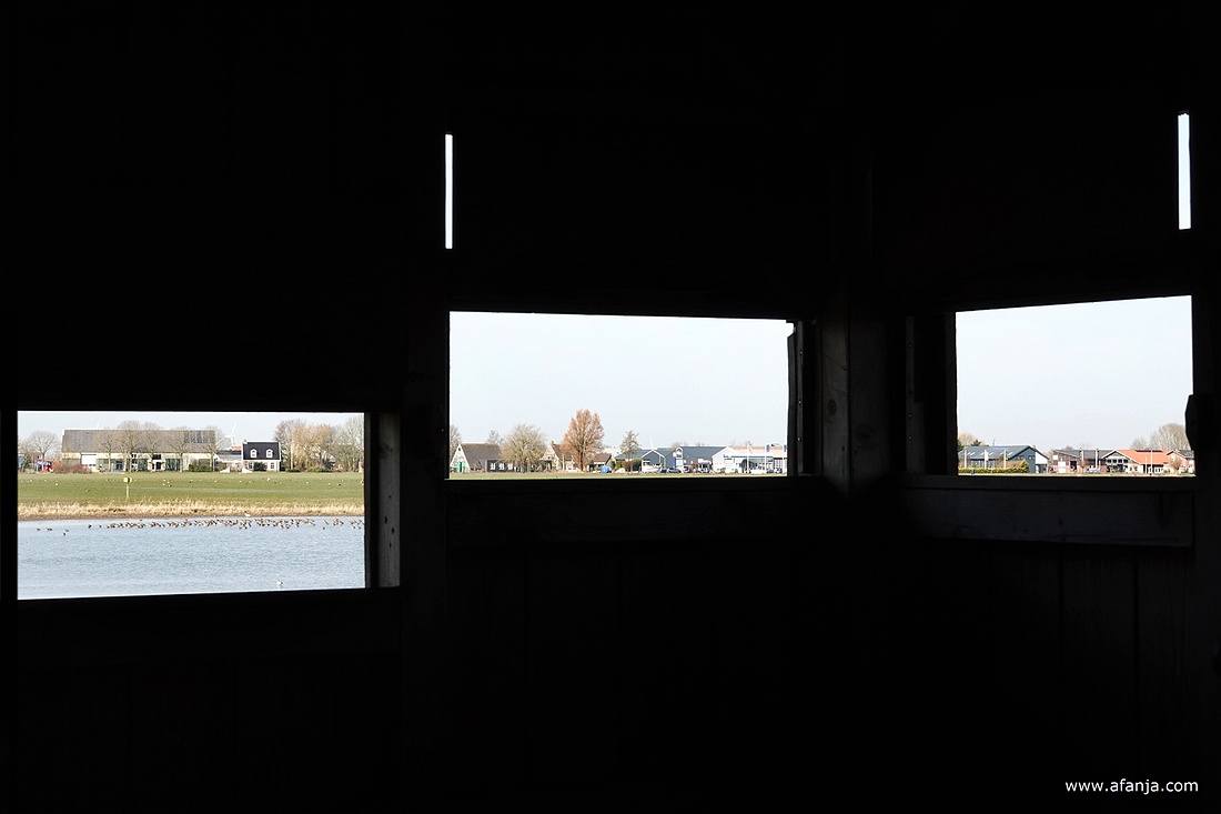 drie van de vele kijkopeningen in de hut
